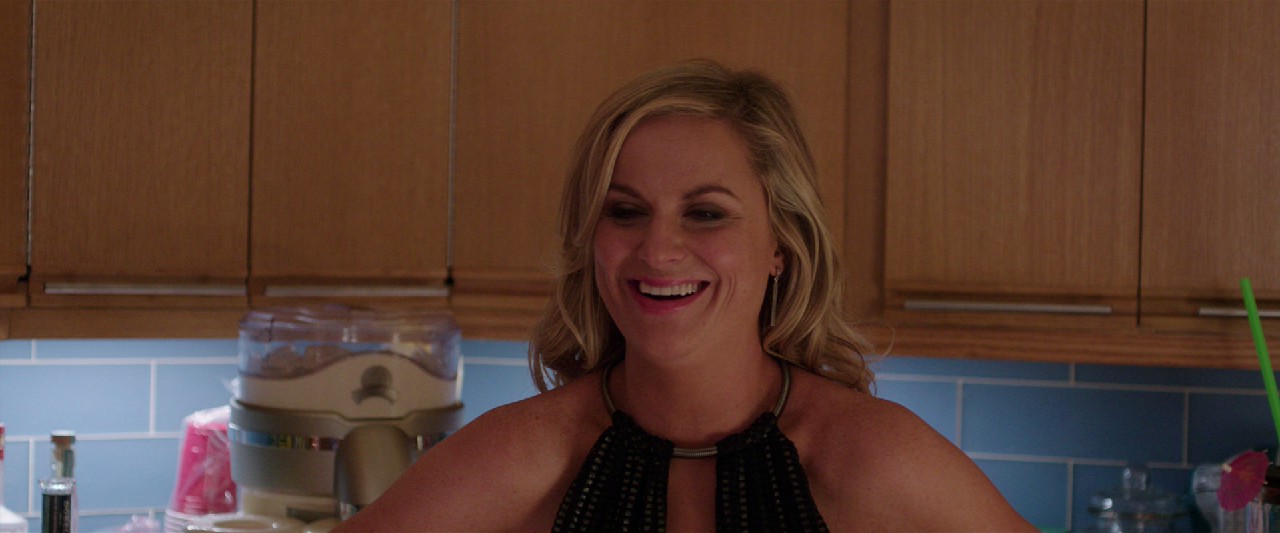 Sisters (2015) BluRay Hindi + English 1080p 10bit x265 HEVC DDP 5.1 ESub.mkv.0002